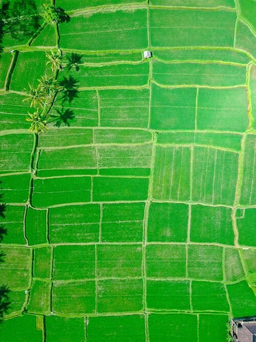 Paesaggio agricolo visto dall'alto: trame e canali